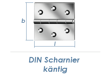 50 x 50mm Scharnier Edelstahl (1 Stk.)