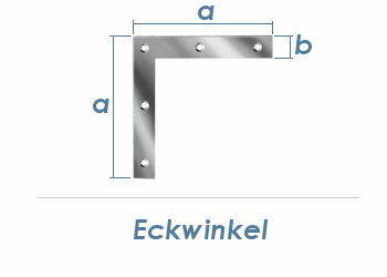 120 x 20mm Eckwinkel verzinkt (1 Stk.)