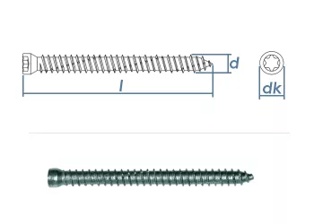 7,5 x 112mm Rahmenschrauben mit kleinem Kopf TX30 Stahl verzinkt  (10 Stk.)