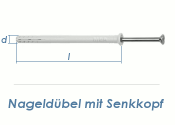 6 x 80mm Nageld&uuml;bel m. Senkkopf (10 Stk.)