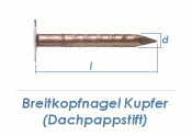 2,8 x 25mm Dachpappstifte Kupfer (100g = ca. 71Stk.)...