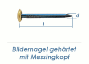 2 x 50mm Bildernagel geh&auml;rtet mit Messingkopf (10 Stk.)