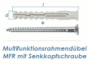 10 x 100mm Multifunktionsrahmendübel inkl. TX40...