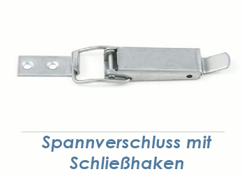 https://www.schraubenking.ch/media/image/product/35766/md/102-x-165mm-spannverschluss-edelstahl-inkl-schliesshaken-p008708.png