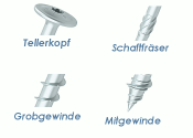 10 x 180mm Konstruktionsschrauben Tellerkopf TX verzinkt...