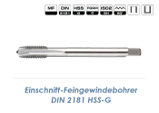 M10x1.25 Einschnitt-Feingewindebohrer DIN2181C HSS-G (1...