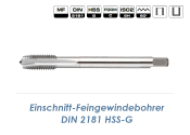 M10x1 Einschnitt-Feingewindebohrer DIN2181C HSS-G (1 Stk.)