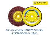 125mm F&auml;cherscheibe K80 gew&ouml;lbt 6&deg; mit trimbarem Grundteller  - SMT975 Special (1 Stk.)