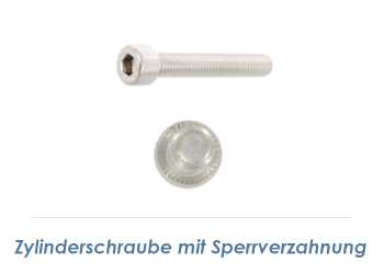 M8 x 35mm Zylinderschraube für PV-Klemme Edelstahl A2  (1 Stk.) //AUSL//