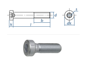 M8 x 50mm Zylinderschraube niedriger Kopf DIN6912 Stahl...