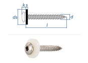 3,9 x 25mm Fensterbankschrauben TX Edelstahl A2 (10 Stk.)