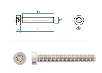 M5 x 25mm Zylinderschrauben TX niedriger Kopf  ISO14580 Edelstahl A2 (10 Stk.)