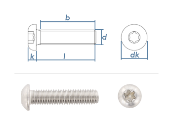 M3 x 16mm Linsenflachkopfschraube TX ISO7380-1 Edelstahl A2 (100 Stk.)
