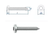 4,2 x 22mm Blechschrauben Linsenkopf TX verzinkt...