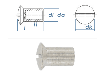 M4 x 12mm Hülsenmutter mit Linsensenkkopf Edelstahl A1 (1 Stk.)