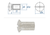 M4 x 12mm H&uuml;lsenmutter mit Linsensenkkopf Edelstahl A1 (1 Stk.)