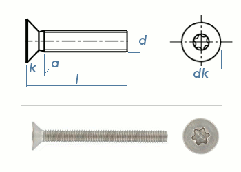 M3 x 10mm Senkschrauben TX ISO14581 Edelstahl A2  (100 Stk.)