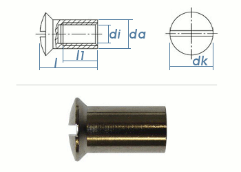 M4 x 20mm Hülsenmutter mit Linsensenkkopf Messing vernickelt (10 Stk.)