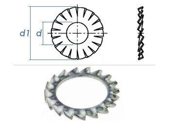 6,4mm Fächerscheiben Form AZ DIN6798 Stahl verzinkt (100 Stk.)