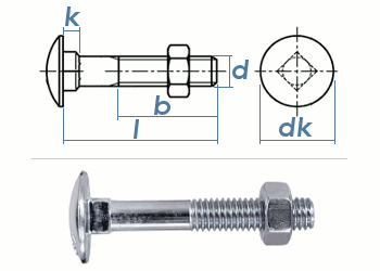 M10 x 30mm Torbandschrauben DIN603 Stahl verzinkt (1 Stk.)